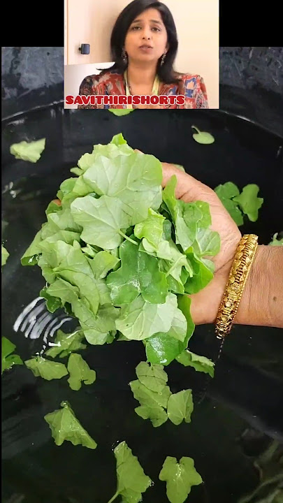 Health benefits of eating spinach leaves/#shortvideo #shorts