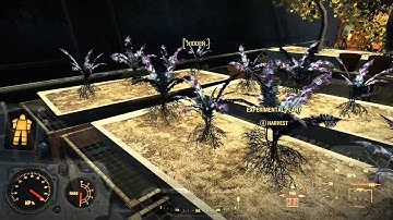 Fallout 4 Nirnroot TES Easter Egg