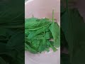 سبزی خوردن و اسفناج برای بورانی