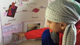 Science Project -Types Of Energies using Ball Launcher