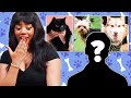 Single woman picks a date based on their pet   the bachelorpet