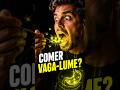 Comer Vaga Lumes Faria Seu Corpo Brilhar #Curiosidade