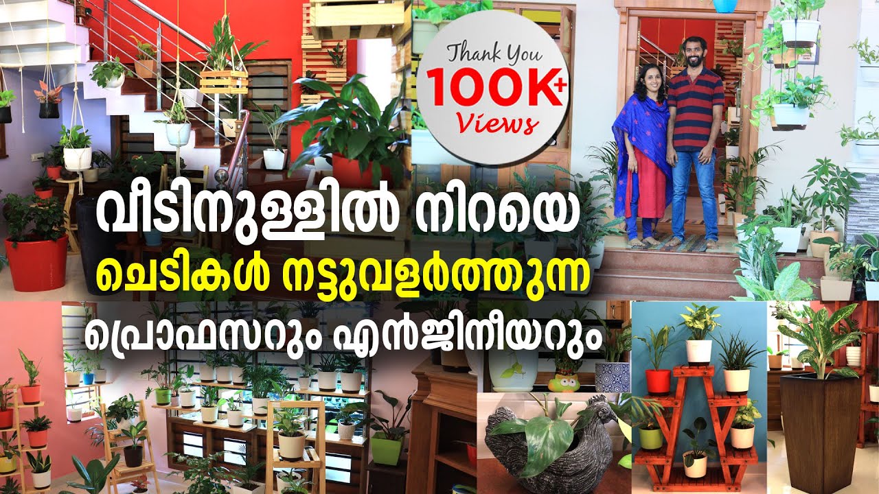 ജോലിയുപേക്ഷിച്ച് വീടിനുള്ളിൽ നിറയെ ചെടികൾ നട്ടുവളർത്തുന്ന പ്രൊഫസറും എൻജിനീയറും | Hug A Plant