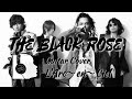 【L'Arc〜en〜Ciel】THE BLACK ROSE(Guitar Cover)