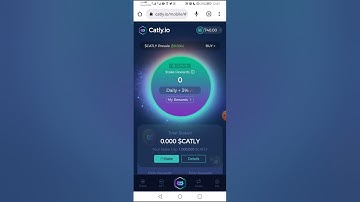 How to Stake on Catly. io