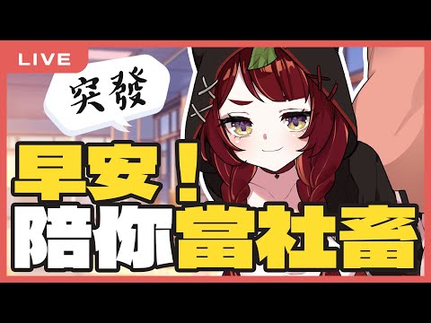 【突突突突發！】陪你當社畜❤️隨意聊聊一些時事 初見歡迎！｜狸野梨 Rieri