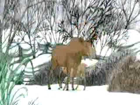 أوسكار قائد المنطاد حلقه أيائل الموظ