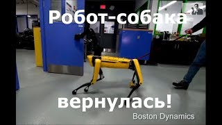 Судьбинушка двух новых роботов-собак из BostonDynamics (озвучка , много мата) Судьбинушка двух новых роботов-собак из BostonDynamics (озвучка , много мата)