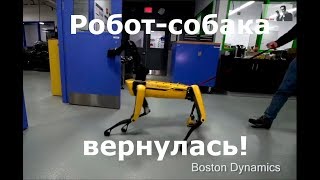 Судьбинушка двух новых роботов-собак из BostonDynamics (озвучка , много мата)