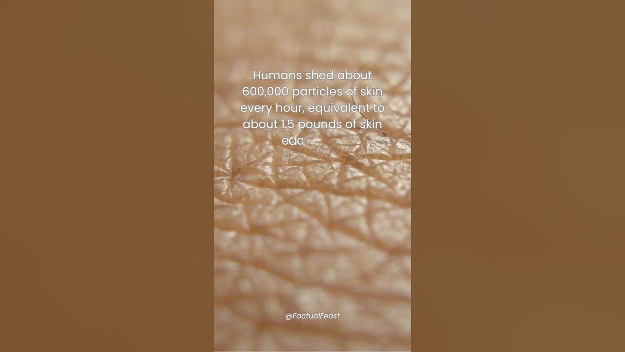 humans-shed-skin-particles-every-hour-youtube