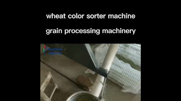 wheat color sorting machine color sorter grain processing machinery