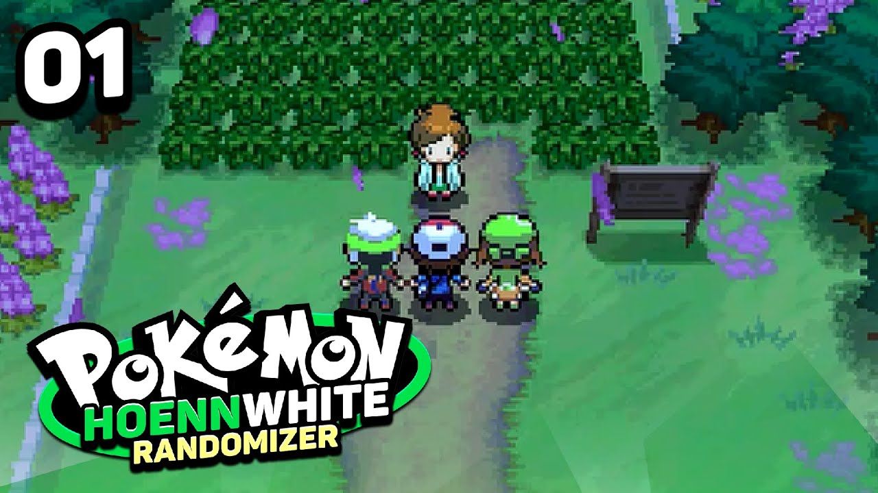 pokemon black and white randomizer