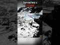 Battlefield 3 SMAW Clip #battlefield3 #battlefield #shorts #ytshorts