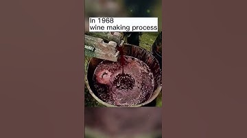 Thumbnail of In 1968 .wine making process  #vintage #fyp #history