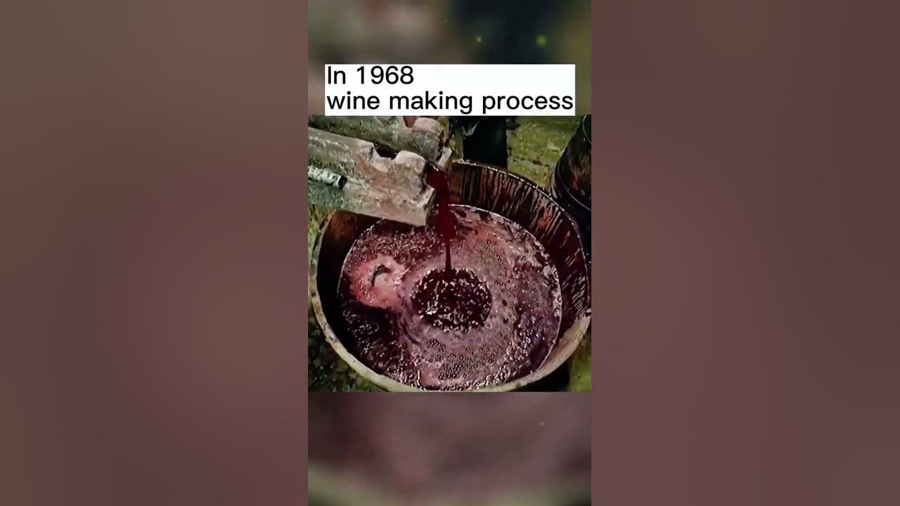In 1968 .wine making process #vintage #fyp #history In 1968 .wine making process #vintage #fyp #history