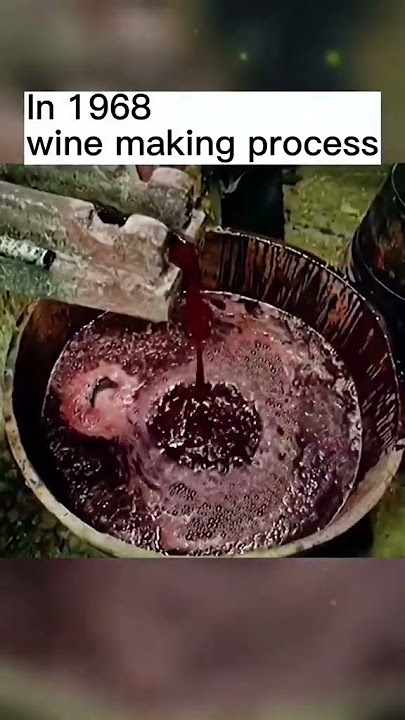 In 1968 .wine making process  #vintage #fyp #history
