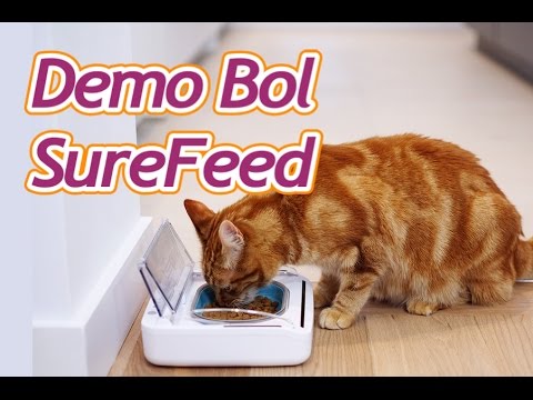 Démonstration du bol hermétique SureFeed - Gamelle pour chat et chien