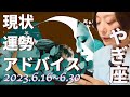 やぎ座さん6月16日から30日の運勢・アドバイス🍀*゜タロット占い
