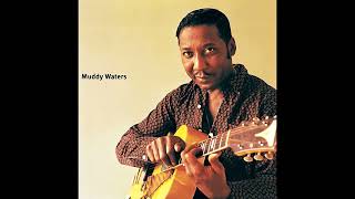 You Can't Lose What You Ain't Never Had  -  Muddy Waters