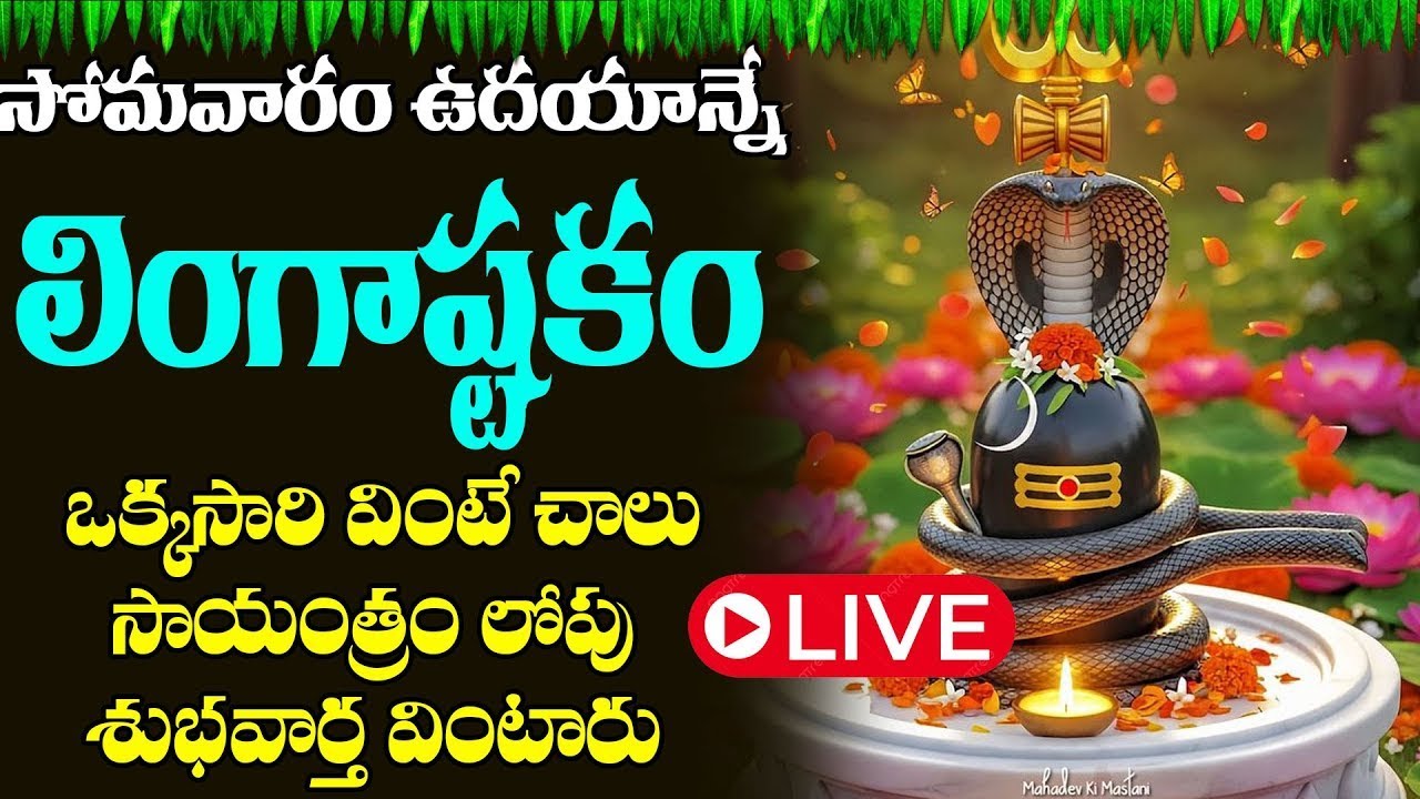 LIVE :  సోమవారం ఉదయాన్నే  లింగాష్టకం  మీ ఇంట్లో ధ్వనిస్తే శివయ్య అనుగ్రహం మీకు ఉంటుంది