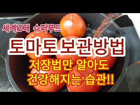 [토마토보관]- 제철맞은 토마토! 보관법만 알아도 건강해져요!!