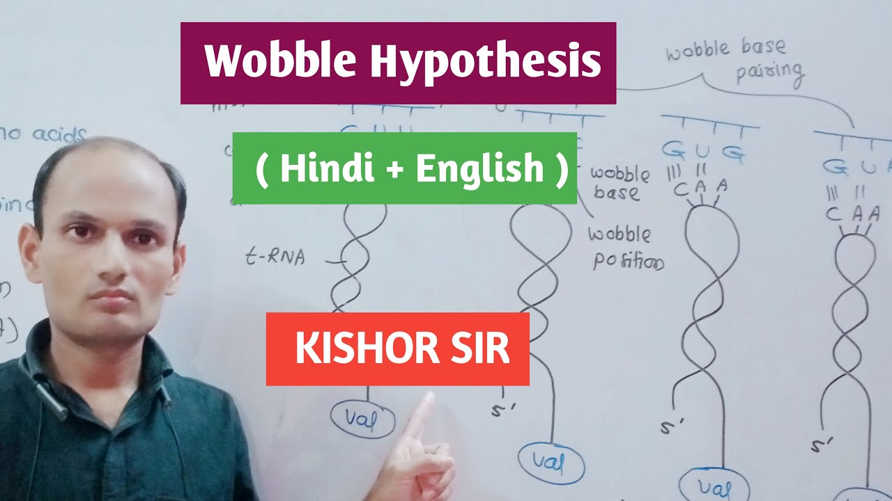what is wobble hypothesis class 12
