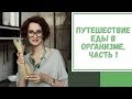 Лайфхак №56. Путешествие еды в организме. Часть 1