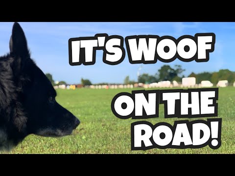 IT'S WOOF ON THE ROAD | Willow Fields Campsite #vanlife
