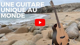 Une Guitare Unique Au Monde 100% Biosourcée En Matière Greenfib