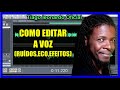 3.O que eu preciso para gravar músicas em casa?Como editar voz(ruídos,eco,efeitos)Adobe Audition 1.5