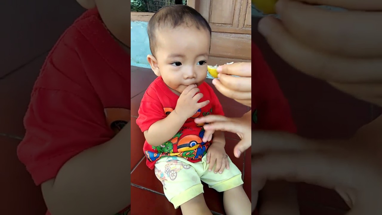 Ekspresi Baby Makan Jeruk Lemon YouTube