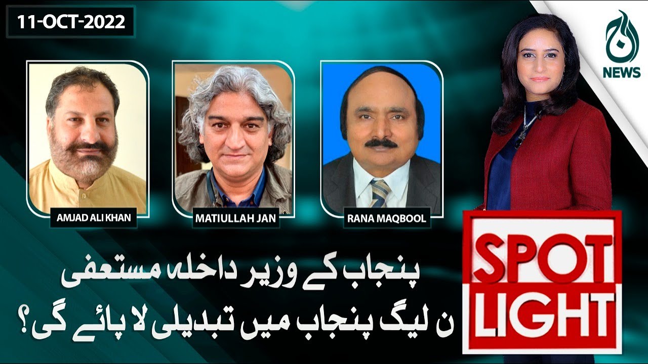 punjab-kay-wazeer-e-dakhla-mustafi-pmln-punjab-main-tabdeeli-laa