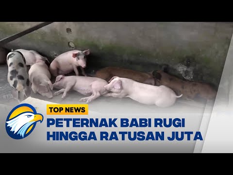 Video: Asuransi untuk orang yang bepergian ke luar negeri: dokumen untuk pendaftaran dan ulasan perusahaan asuransi