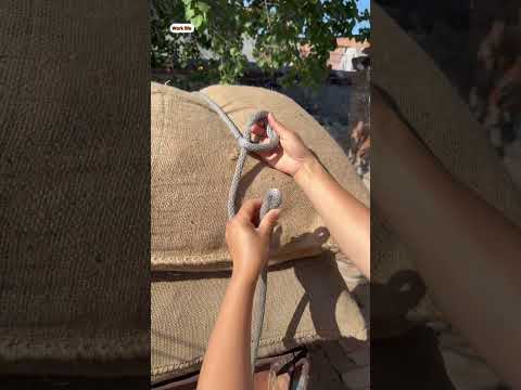 الدليل الشامل لإتقان شد الحبل تقنيات مثبتة ونصائح الخبراء والحيل الأساسية