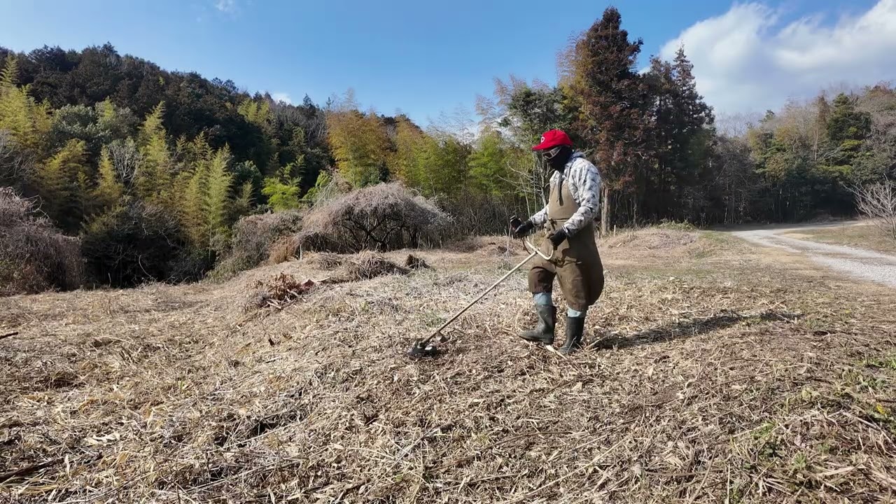 耕作放棄地西：道からの入り口付近、3枚刃で刈った草や笹の下に残っている笹と葛のつるを刈っていく。