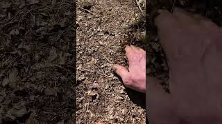 My First day of Spring 2024