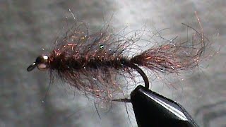 BC04 - Simi Seal Leech