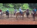 Mauro Leite treinamento de equinos