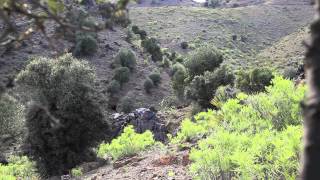 Search for Weapons Cache