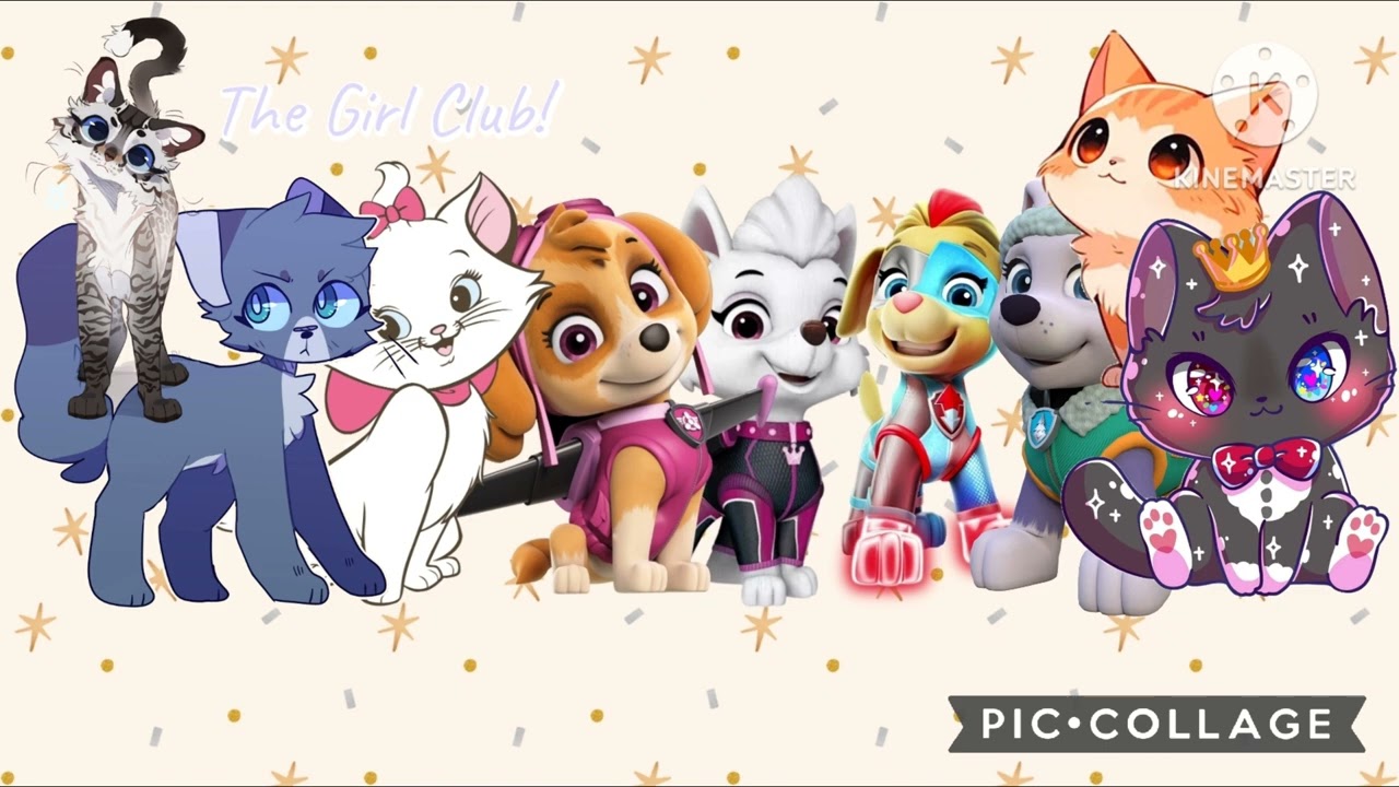 Snowball Ginger Cotton And Tango Joins The Girl Club