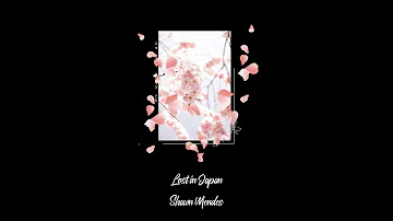 Shawn Mendes - Lost In Japan(Lyrics)