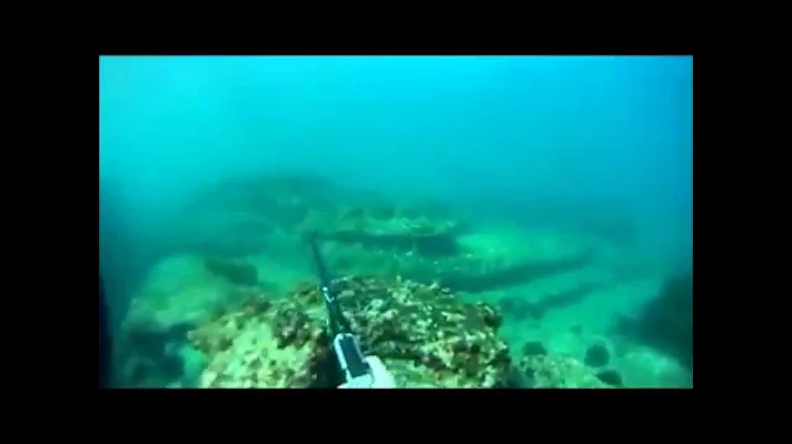 Jervis bay spearfishing