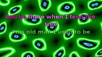 Belly - Feed The Tree (Lyrics) Belly - Feed The Tree (Lyrics)