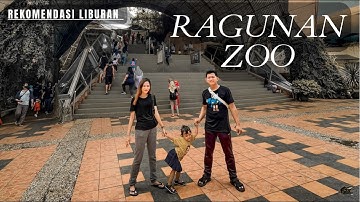Jalan Jalan Di Ragunan Zoo