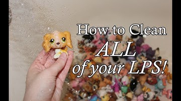 How to Clean ALL of your LPS!