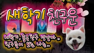 [타로] 새학기 친구운은 어떨까? 새학기 친구 사귀기. 좋은친구 만들 수 있나...친구 사귀는 법..