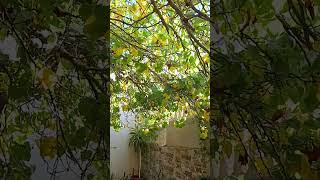 .Wa.tawadou3 اشفي المرضى المسلمين جميعا وارحم موتى المسلمين وارزق كل محتاج