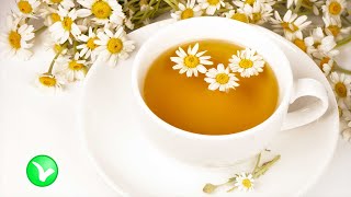 Ромашковый чай – польза и вред.