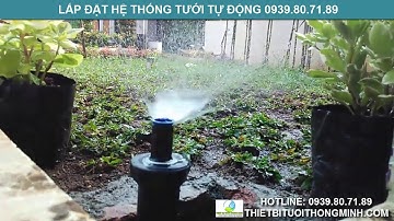 Đầu tưới cỏ pop up phun mưa tưới biệt thự sân vườn cảnh quan điều chỉnh góc cao cấp