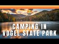 Vogel State Park Campground Tour - Site #44 | Creek Side Camping in Georgia